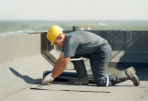 Best Insulation Materials and Products in Lake Holm, WA