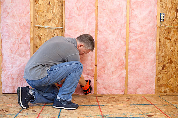 Best Insulation Maintenance and Repair in Lake Holm, WA