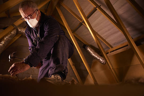 Best Insulation for Specific Applications in Lake Holm, WA