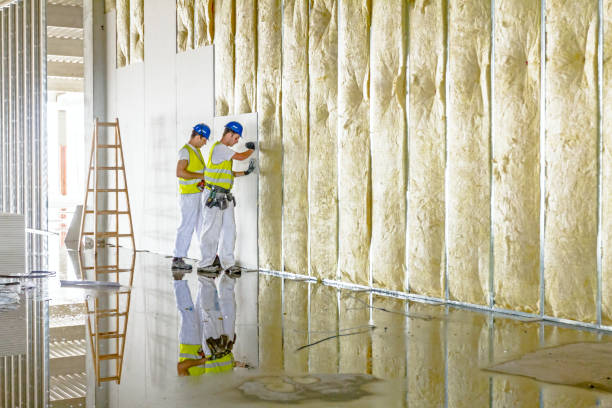 Best Insulation Installation Services in Lake Holm, WA